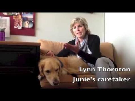 Junie: Prospect's Top Dog