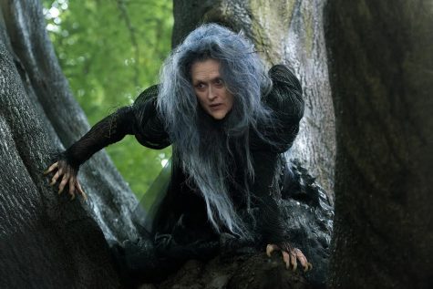Mediocre movie gets lost in the woods