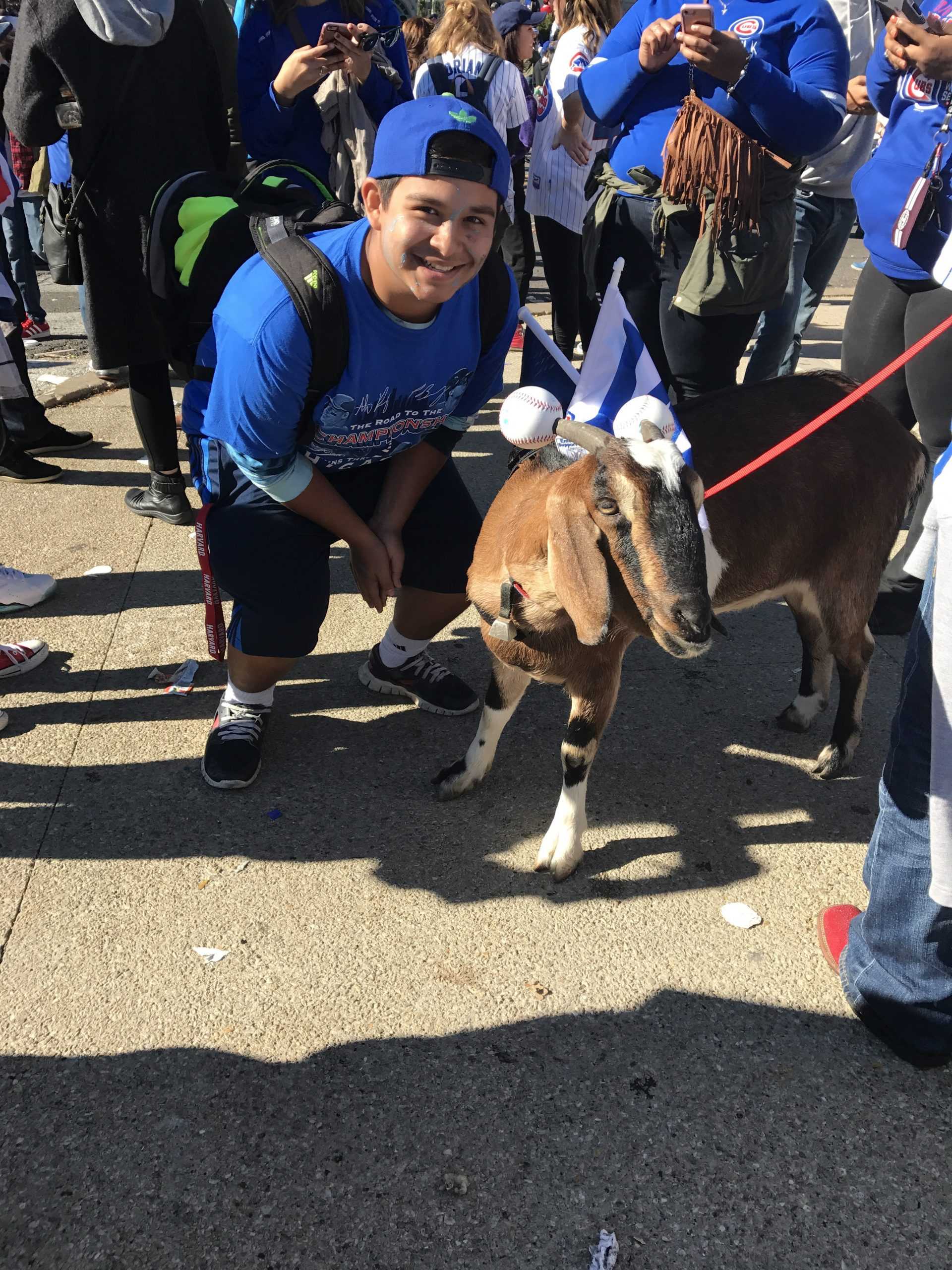Cubs World Series pictures
