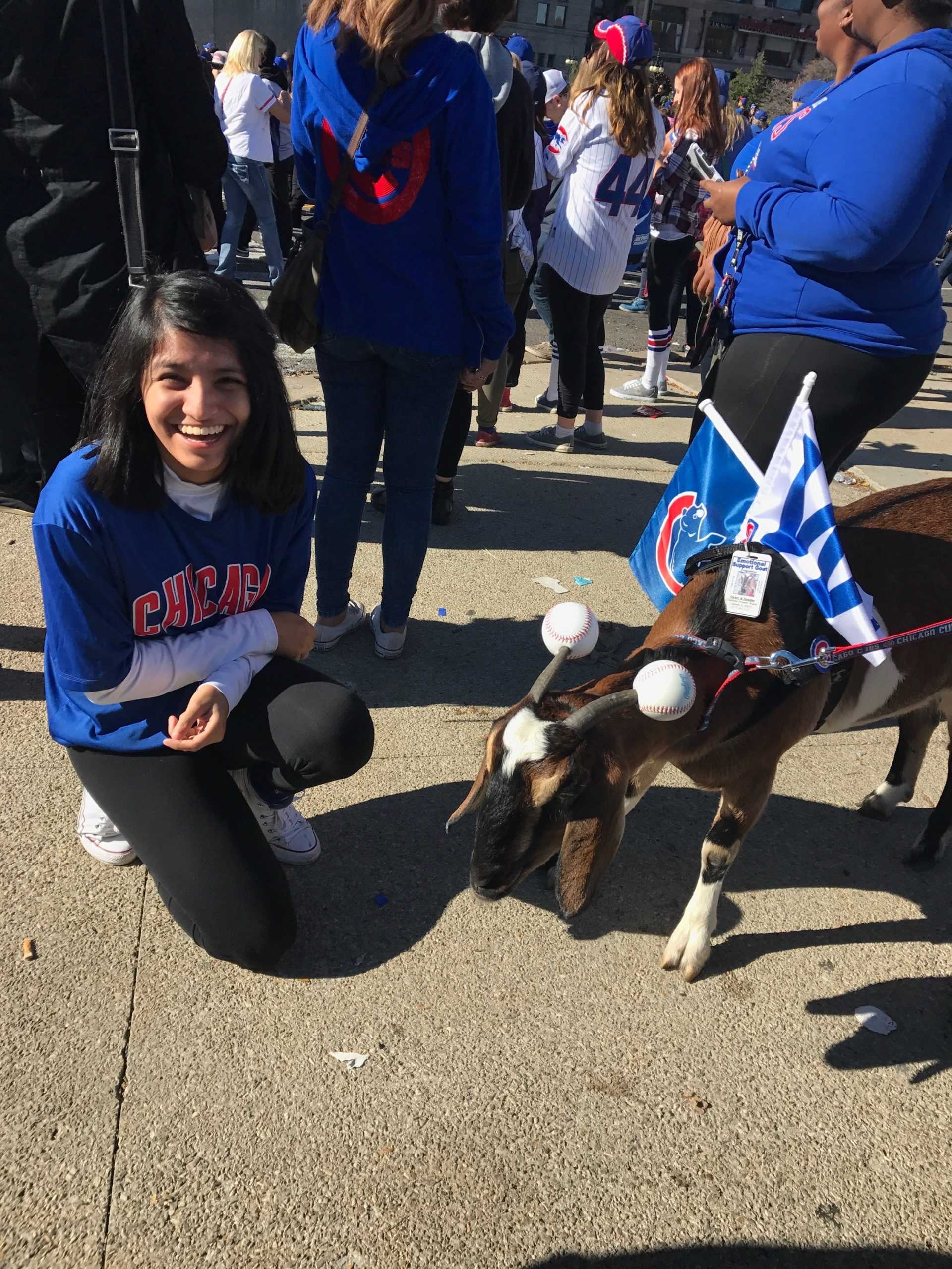 Cubs World Series pictures