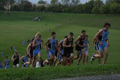 Cross country reaps success at conference