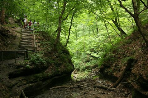 Fun outdoorsy places near and far in Illinois