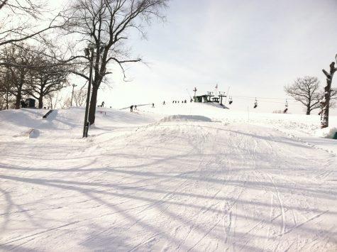 OPINION: My tale of trees and skis