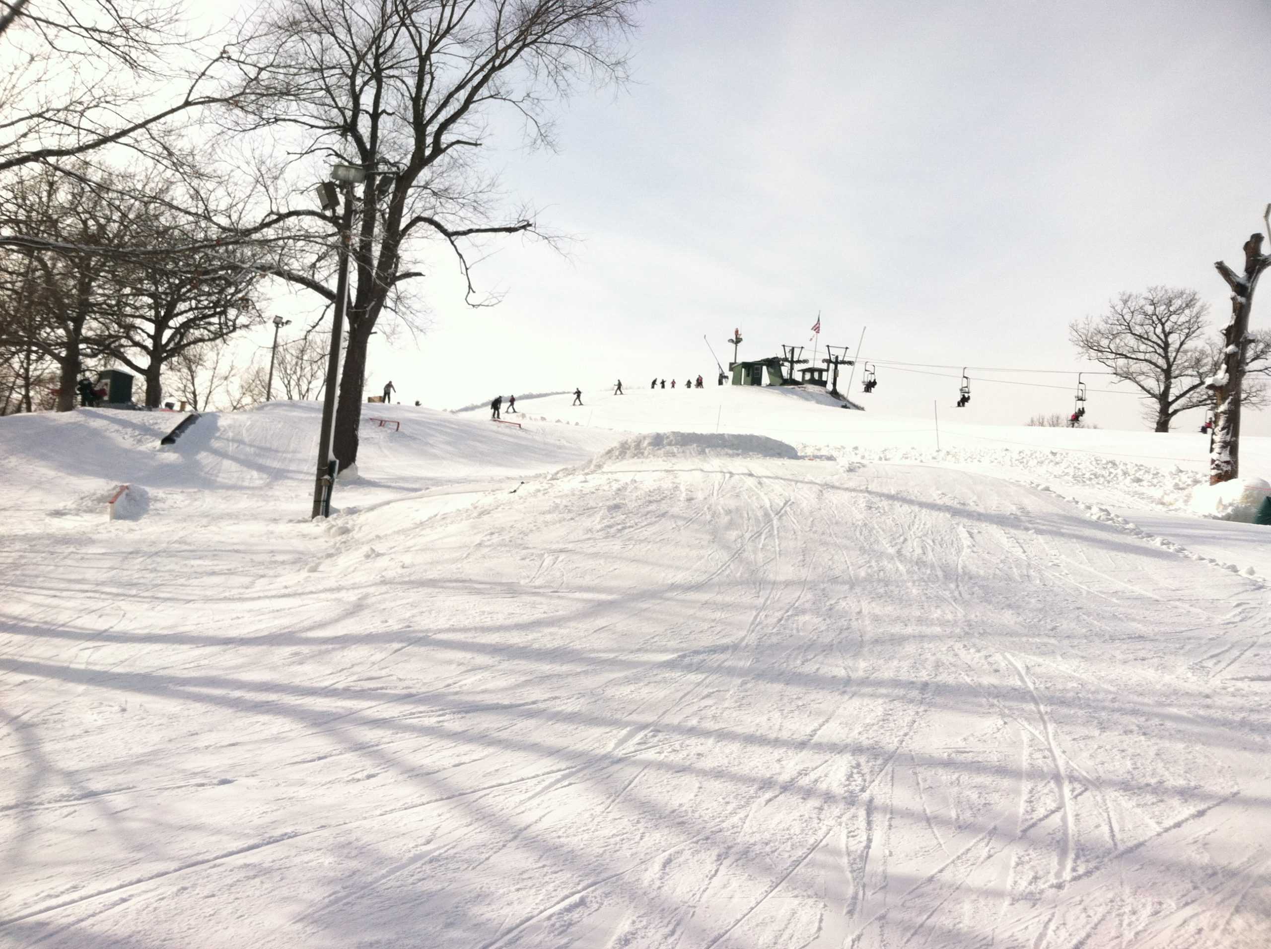 OPINION: My tale of trees and skis