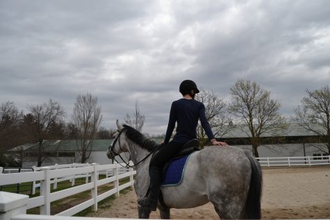 Passion behind the reins