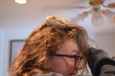 Czarny's passion for pets