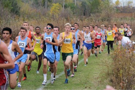 Boys' cross country clinches spot at state