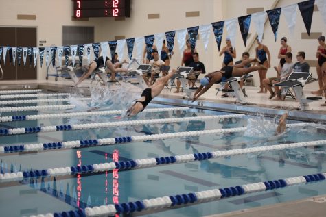 Swimming and diving head to state, meet personal goals
