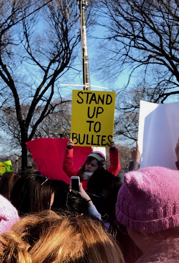 PHOTO ALBUM: Women's march Chicago