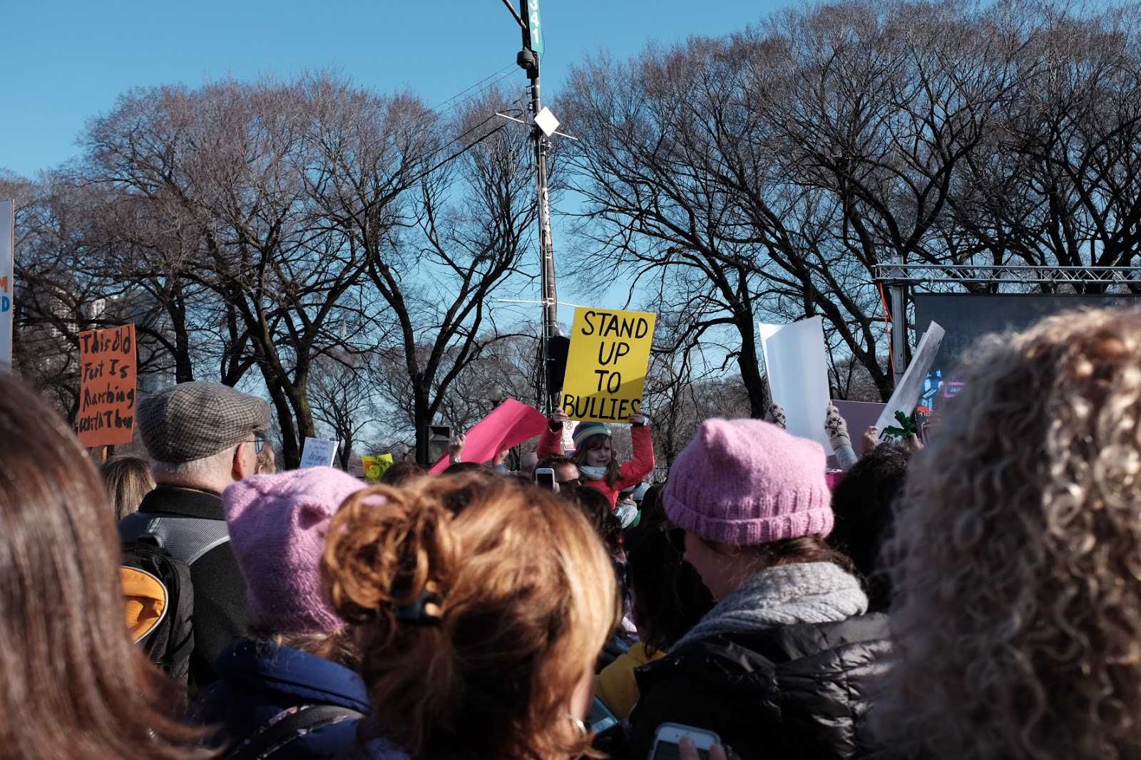 PHOTO ALBUM: Women's march Chicago