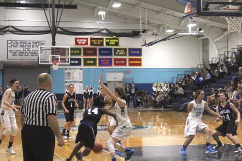 Girls’ basketball shuts down Wheeling