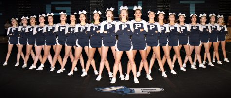 Cheer succeeds at sectionals