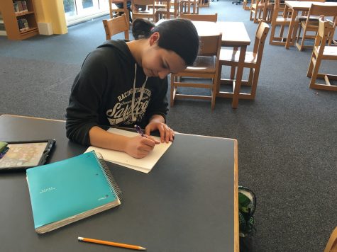 Emerging student writer’s success with Reflection