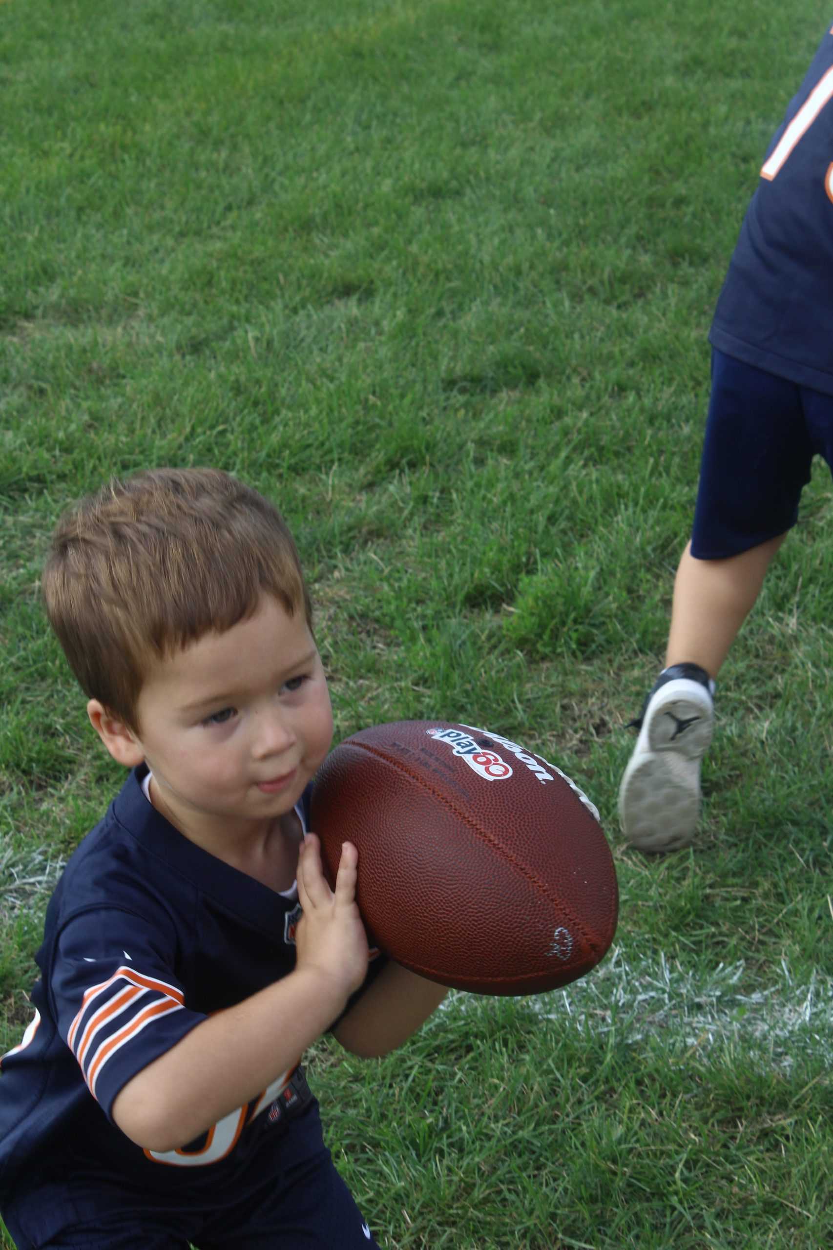 Bears practice photo album