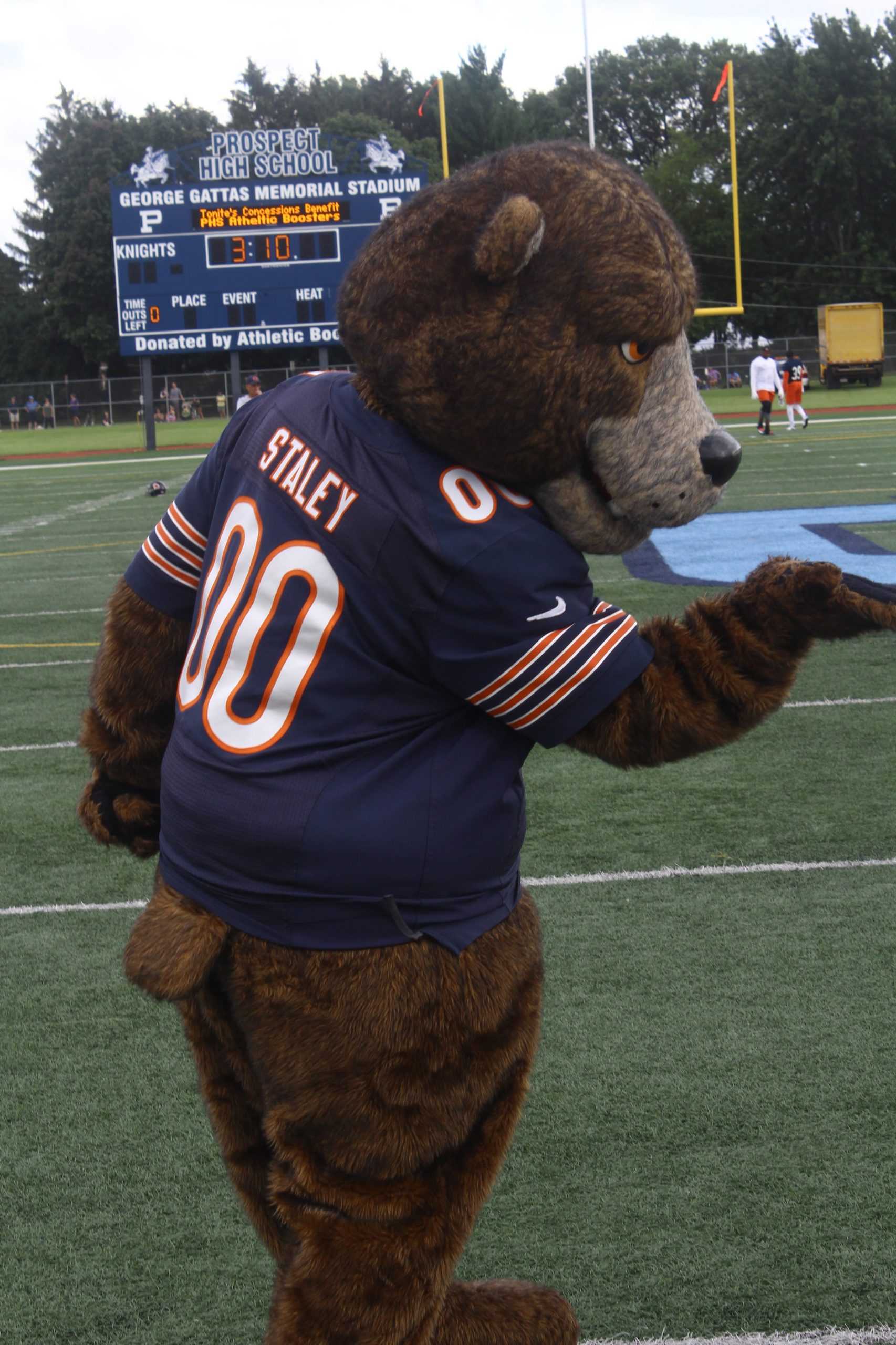 Bears practice photo album
