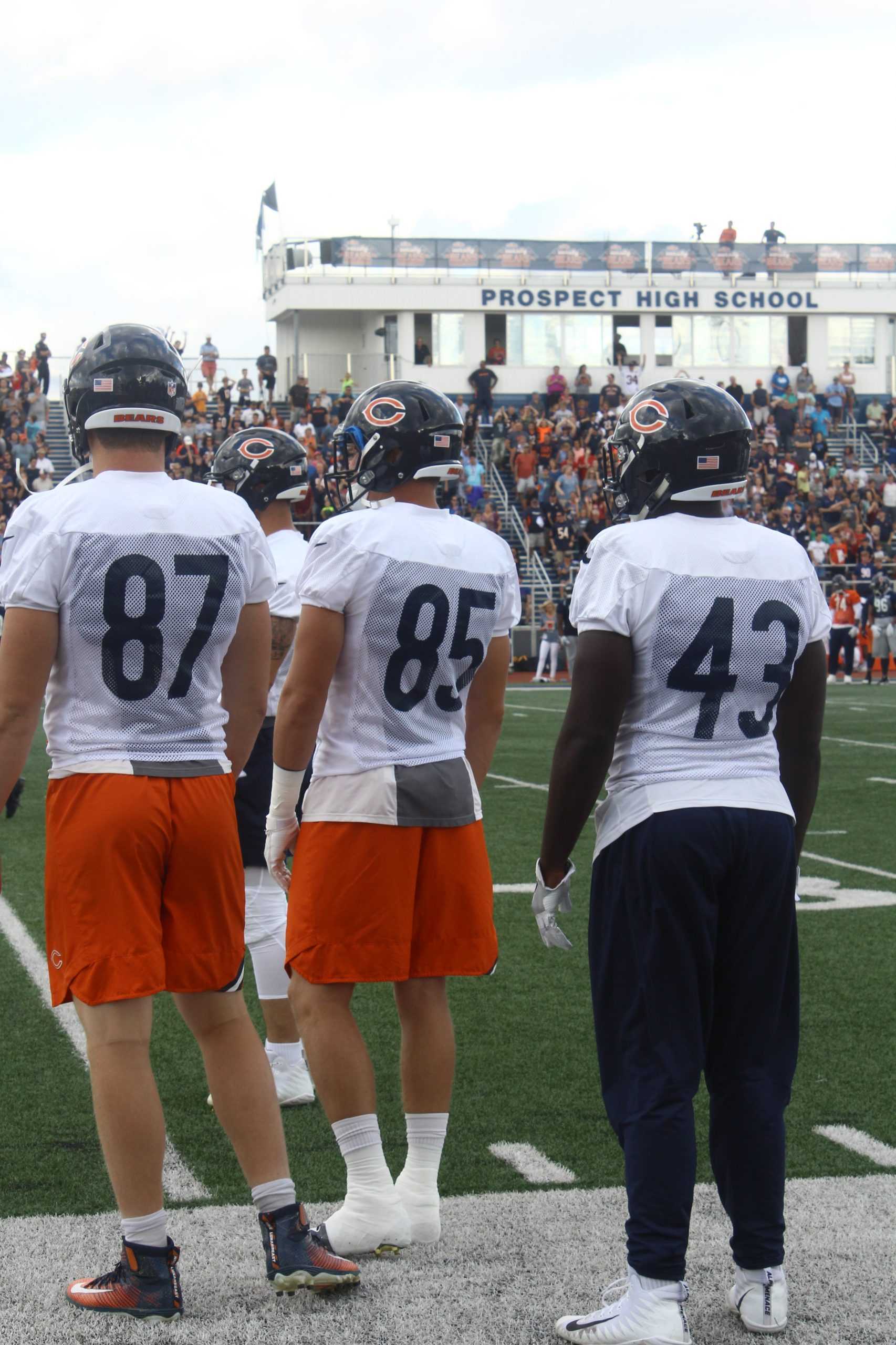 Bears practice photo album