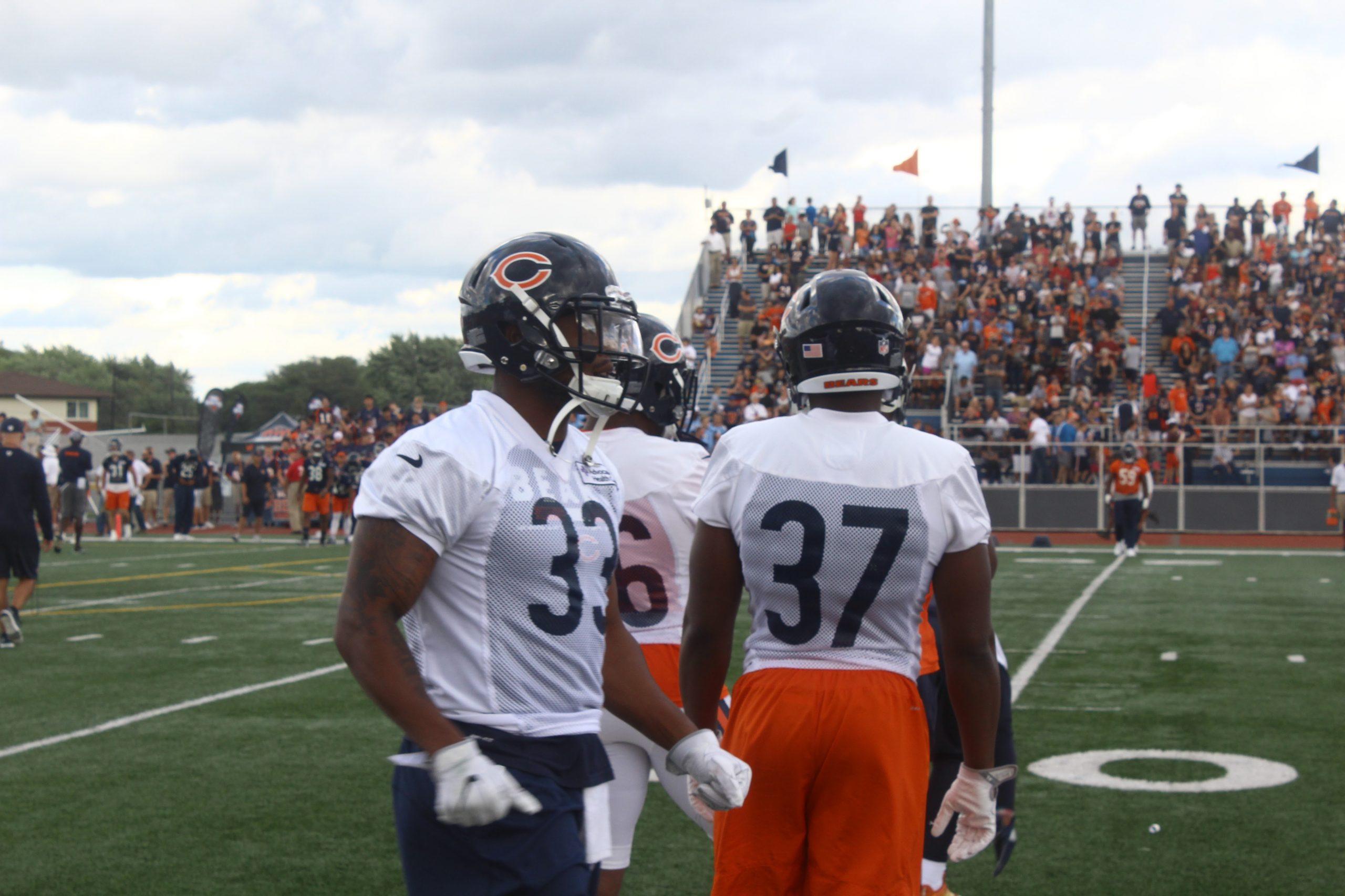Bears practice photo album