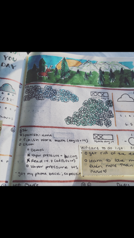 Pictures of Bullet Journals