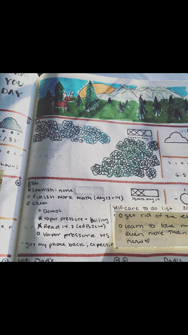 Pictures of Bullet Journals