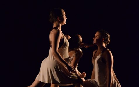 Orchesis travels to state festival