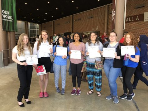 Research projects win awards at Illinois Science Fair