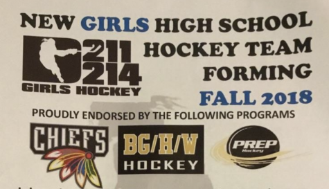 Girls get new opportunity to play hockey