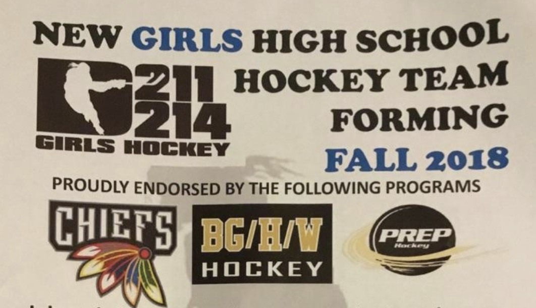 Girls get new opportunity to play hockey