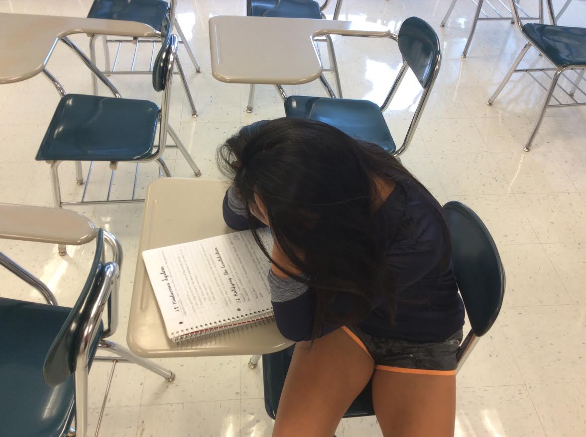 The Truth behind senior year