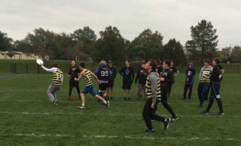 New Bracket Buster Week Causes Major Upsets in Ultimate Frisbee