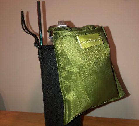 senior aims to help environment by selling 'eco kits'