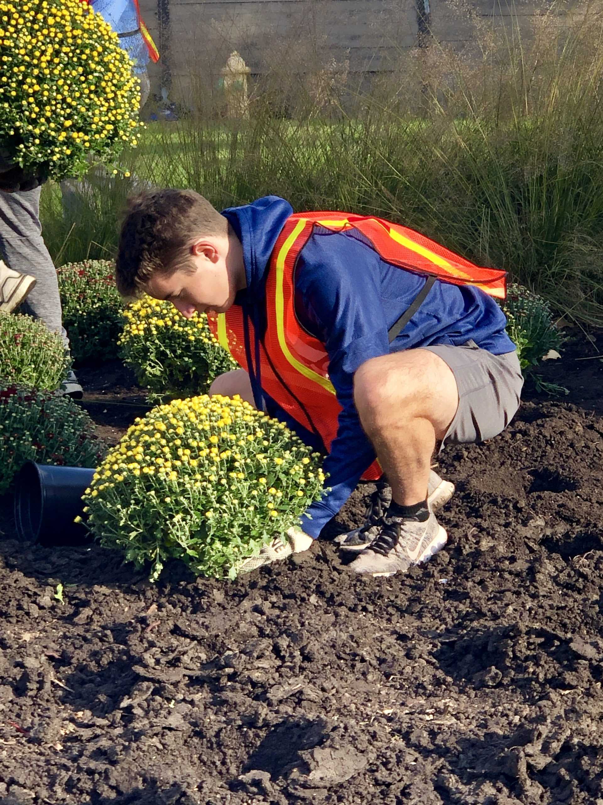 Photo Album: Prospect Gives Back