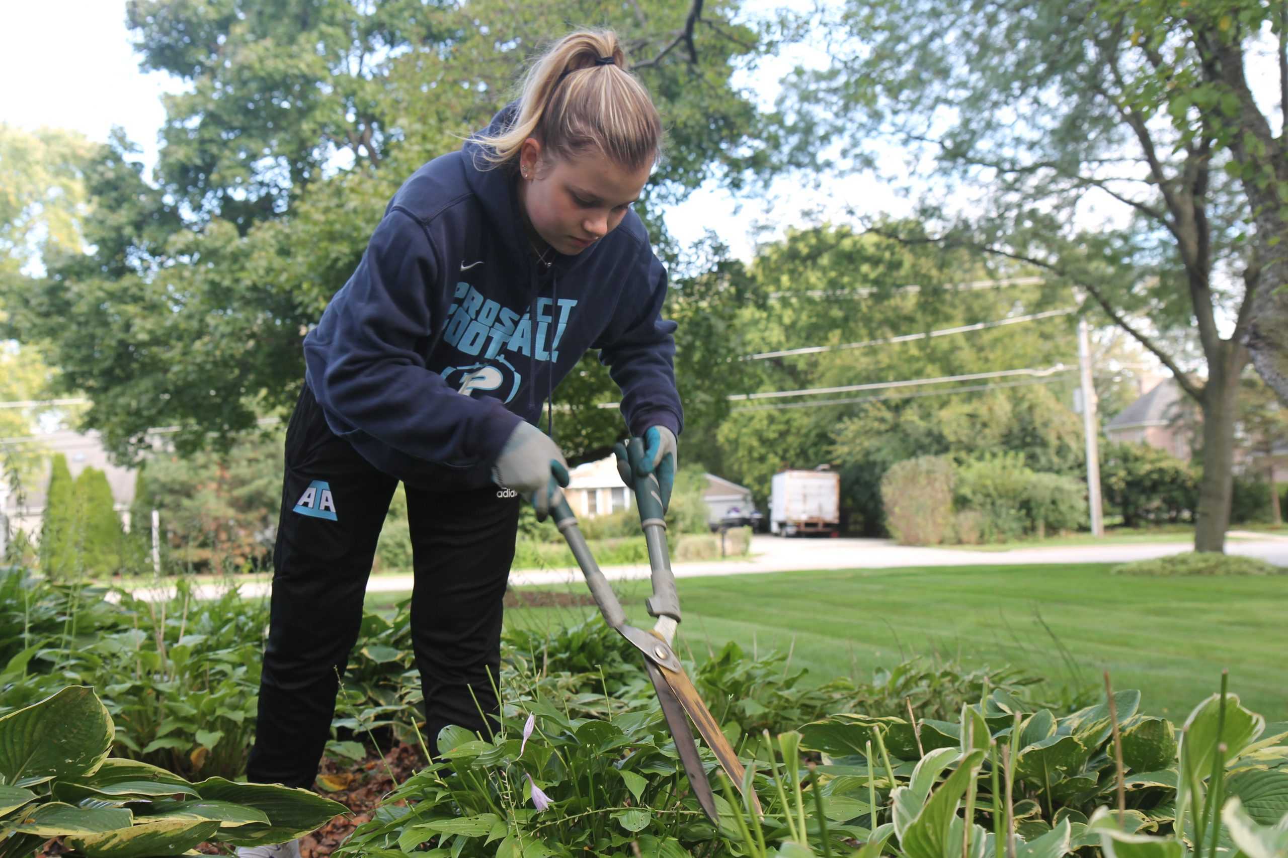 Photo Album: Prospect Gives Back