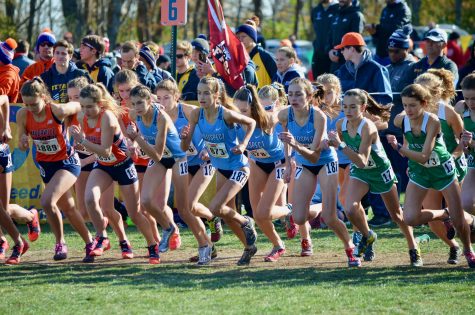 Girls Cross Country continues legacy, places 8th at State