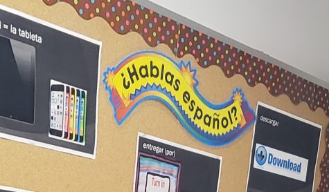 Spanish curriculum faces change