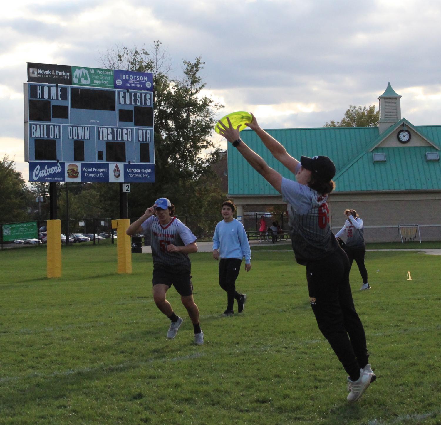 Tournament Victoree in Ultimate Frisbee