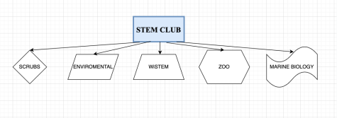 STEM Club: High Opportunity, Low Commitment