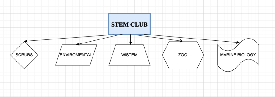 STEM+Club%3A+High+Opportunity%2C+Low+Commitment