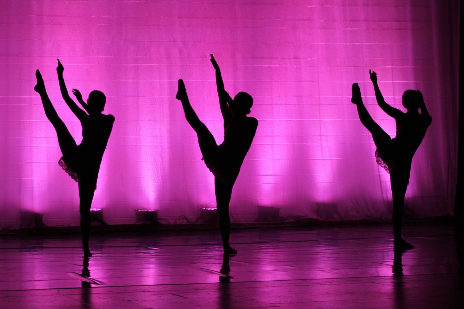 Orchesis leaps into end of the year