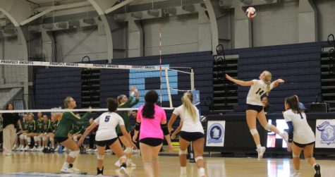 Senior Shelby Hiskes hits the ball in a match against Elk Grove on September 13th. (photo by Alyssa Degan)
