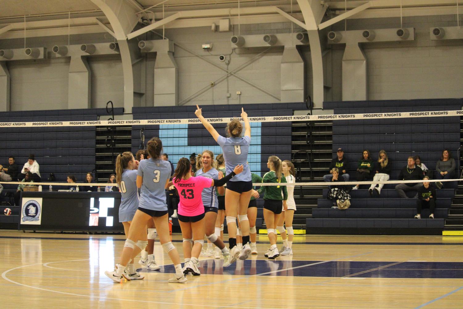 Girls' volleyball serves up a great season