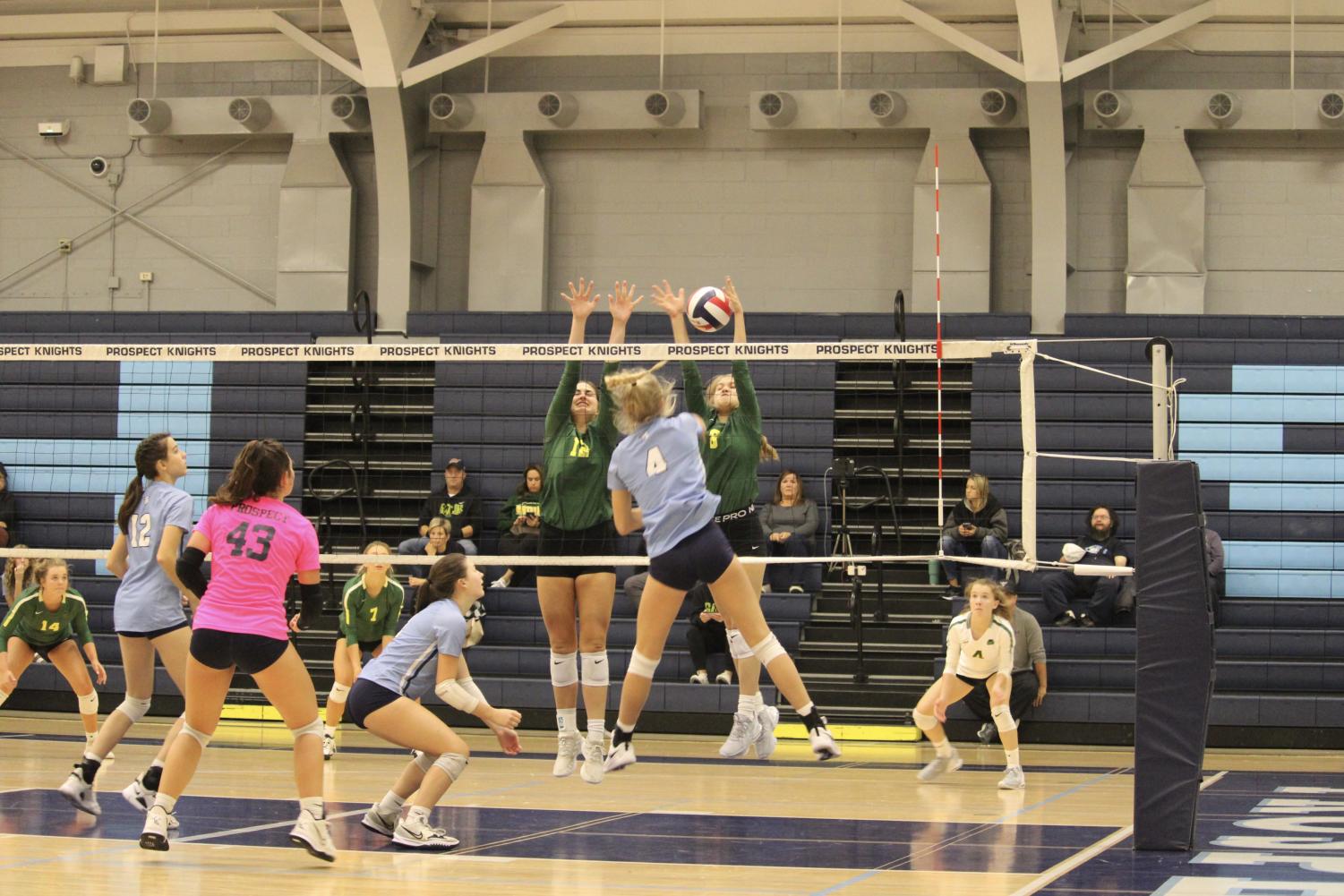 Girls' volleyball serves up a great season