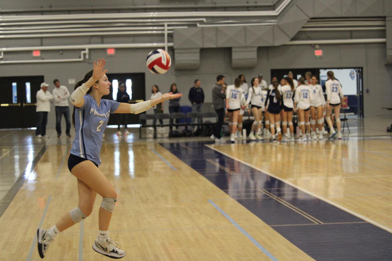 Girls' volleyball serves up a great season