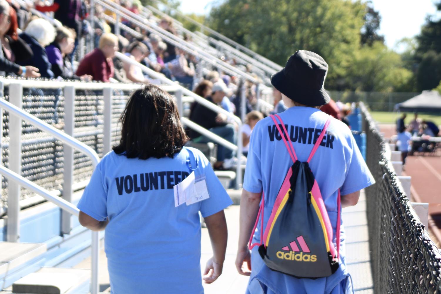 Knight of Champions: a harmonious competition