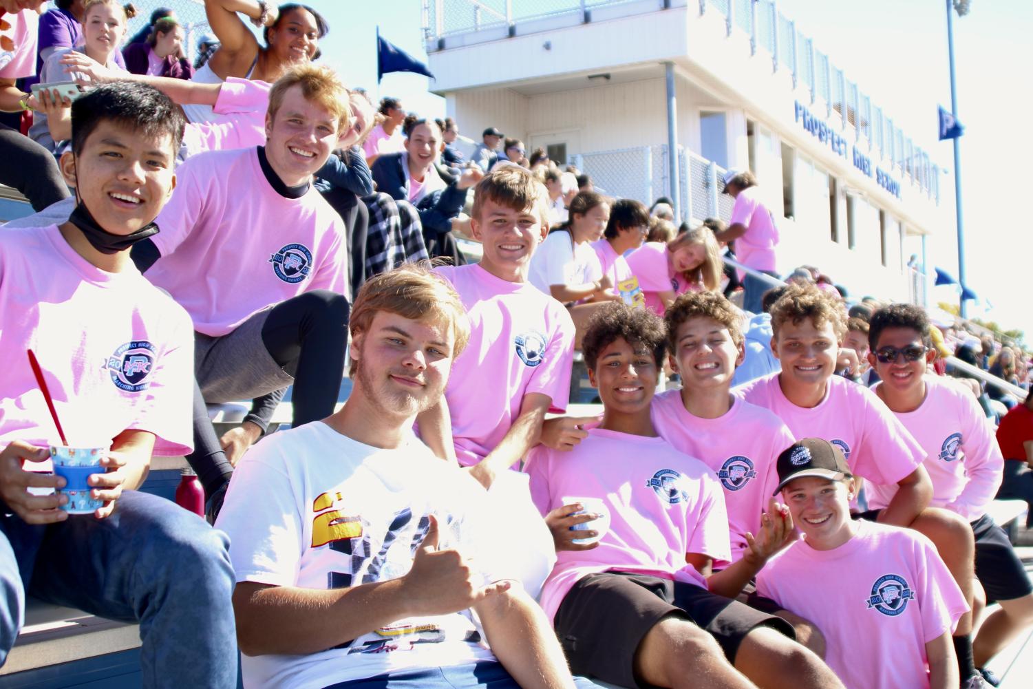 Knight of Champions: a harmonious competition