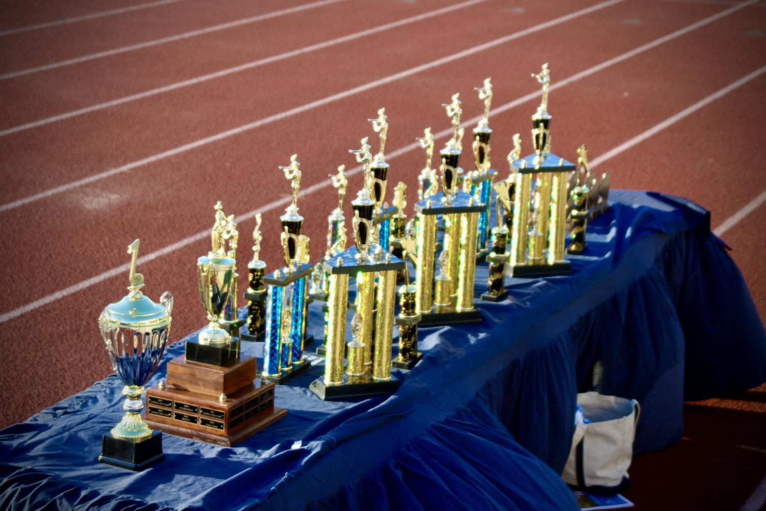 Knight of Champions: a harmonious competition