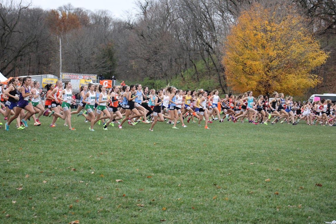State champions: Girls' cross country soars to victory