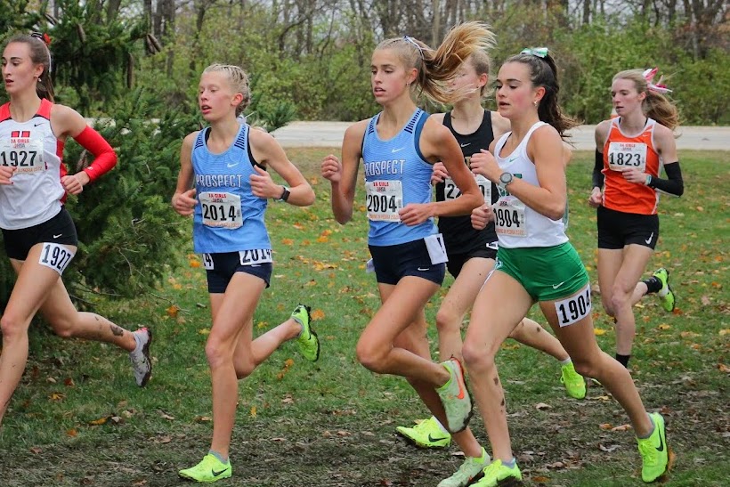 State champions: Girls' cross country soars to victory