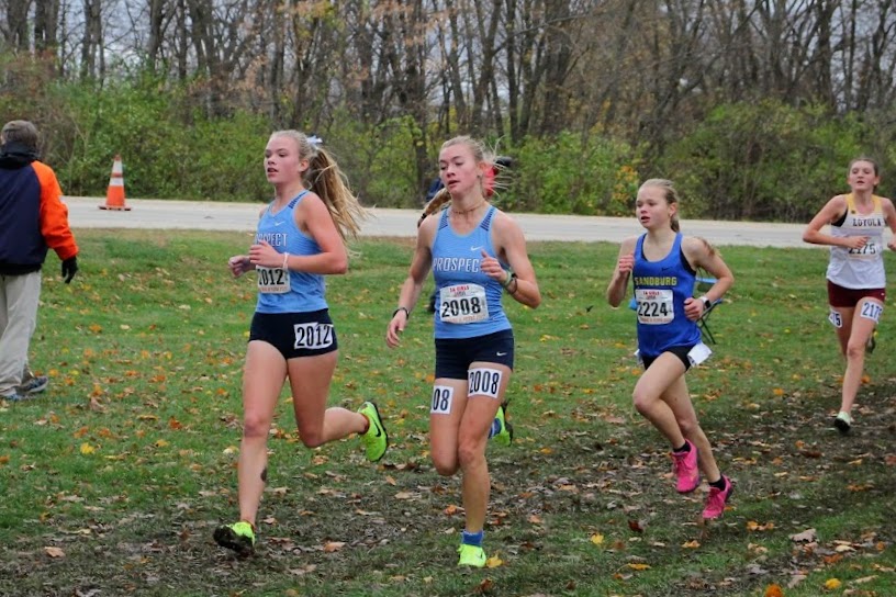 State champions: Girls' cross country soars to victory