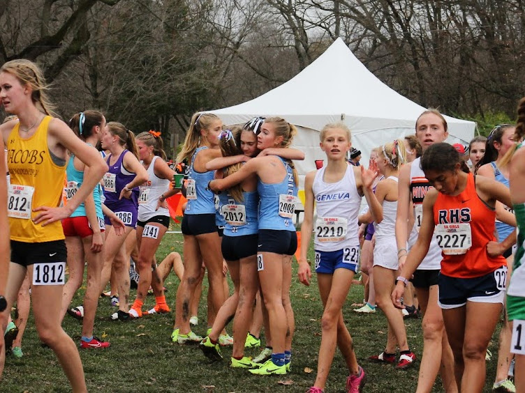 State champions: Girls' cross country soars to victory