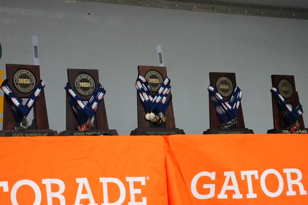 State champions: Girls' cross country soars to victory